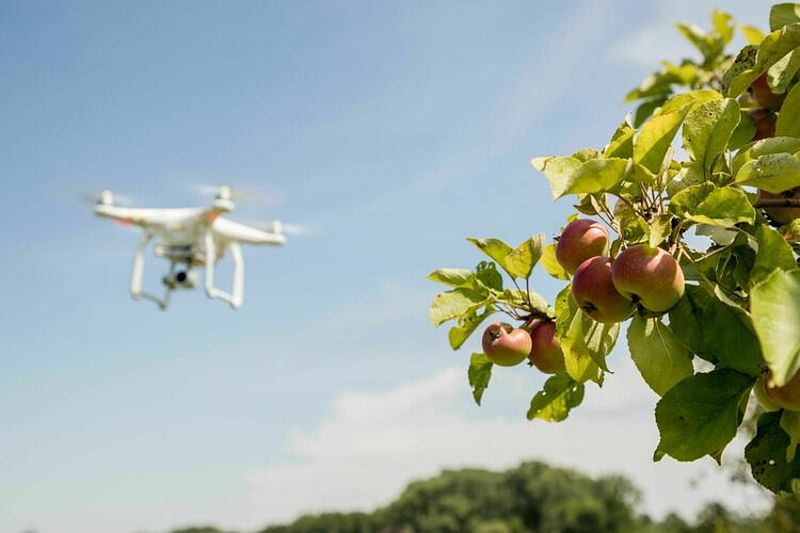 Drohnen für den Umweltschutz: Monitoring von Streuobstbeständen erfolgreich abgeschlossen